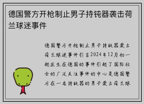 德国警方开枪制止男子持钝器袭击荷兰球迷事件