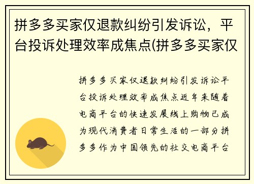 拼多多买家仅退款纠纷引发诉讼，平台投诉处理效率成焦点(拼多多买家仅退款申请质量问题怎么办)
