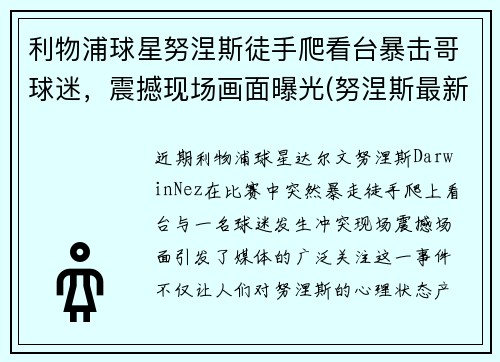 利物浦球星努涅斯徒手爬看台暴击哥球迷，震撼现场画面曝光(努涅斯最新比赛)