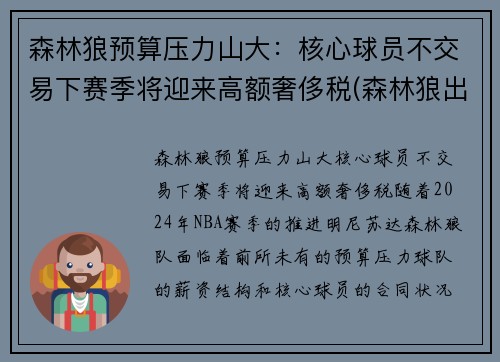 森林狼预算压力山大：核心球员不交易下赛季将迎来高额奢侈税(森林狼出售球队)
