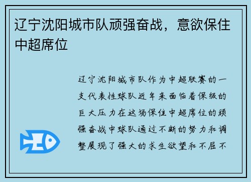 辽宁沈阳城市队顽强奋战，意欲保住中超席位